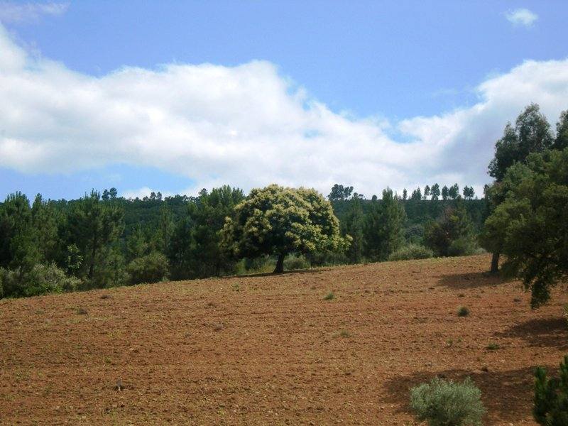 bolsa de terras